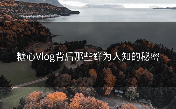 糖心Vlog背后那些鲜为人知的秘密