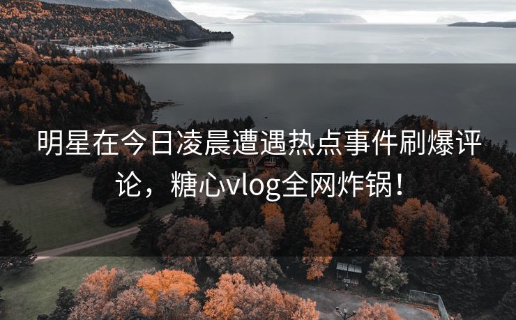 明星在今日凌晨遭遇热点事件刷爆评论，糖心vlog全网炸锅！